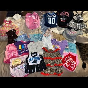 Lot of 24 small doggie clothes and coats